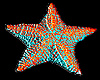{LDs} Star Fish Marker