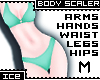 Ice * M Body Scaler