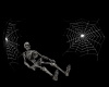Skeleton Web