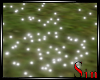 Ground Fireflies