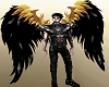 Black Gold Wings