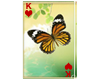 King Butterfly Card