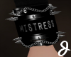 [J] R Mistress Brace