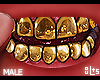 †. M Teeth 237
