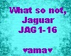 What so not, Jaguar