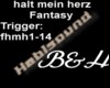 B&H FantasyHaltmeinHerz