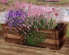 KC~Spring Planter Box