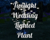 Twilight Wedding Plant
