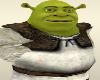 Shrek LOL Laughing Halloween Costumes Funny Scary Evil
