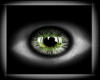 Eyes6 Green [ M/F ]
