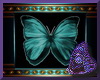 Teal Butterfly Pic