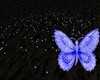 Light blue butterflies