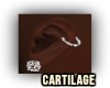 ᴮ Cartilage Piercing
