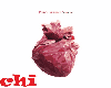 PISTOL SHRIMP - HEART