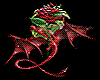 Red Dragon Rose