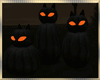 Cat ~ Pumpkins