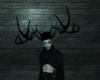 Black Stag Antlers