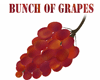 BUNCH OF GRAPES RED