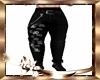 Pants Print Music