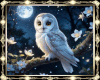 Art ~ Owl Night 🌙