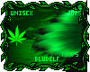 Kush Tuffs