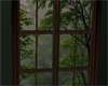 LKC Ambient Rain Window