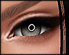 Garcia Eyelights