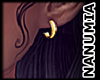 earring small hoops