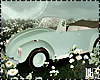 Spring Buggy Car