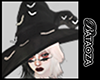 Witchy hat + bats