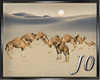 Desert-Oasis-Camel Group
