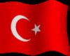 ANIMATED TURKEY FLAG