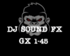 DJ FX GX