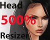 Head 500%