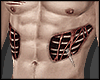 s. Muscle Scar