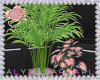 :A: Fancy Plants