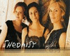 Shedaisy Your Everything