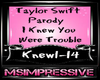 Taylor Swift PARODY Dub