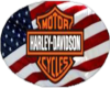 (BL)Americam Harley