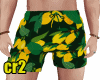 Lemon Beach Shorts