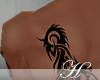 [H] Dragon tatto