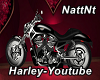 Harley-Youtube