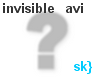 sk} Invisible avatar