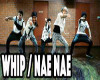 Whip Da Nae Nae Dance