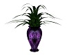 Passions Plant / Vase