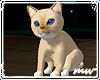 !Pet Kitten gold