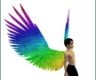 rainbow wings