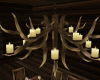 Deer Antlers chandelier