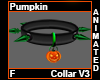 Pumpkin Collar F V3