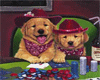 Dog - Poker Pups